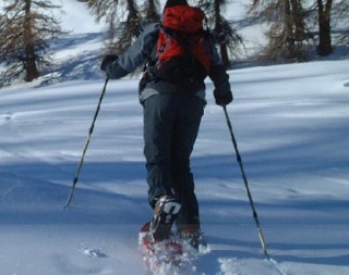  Ruta con raquetas de nieve por la montaña